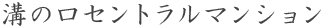 溝の口セントラルマンション